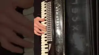 * La Sbarazzina #italianfolksong #fisarmonica #accordion #italy #waltz