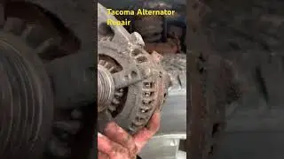 Bringing the 20 year old Tacoma Back to Life 