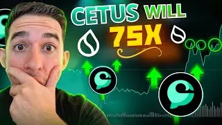 EXPLOSIVE 75X GAINS AHEAD ON SUI WITH CETUS PROTOCOL!