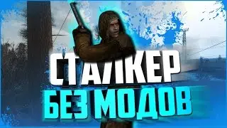 КАКИМ БЫ БЫЛ СТАЛКЕР БЕЗ МОДОВ
