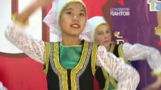 Студия 