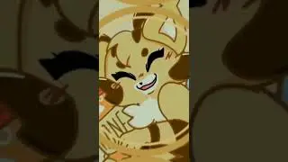 Player x poppy cat bee x candi cat
