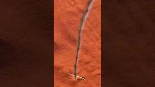 Ходят строем