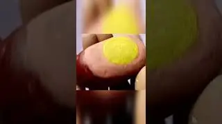 Нарисовали на камне кошку и дерево