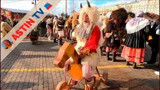 Festival 