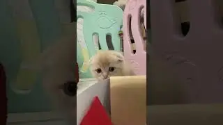Как она тут выключается эта камера 🤣 