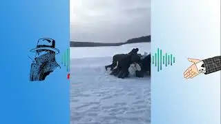 Последствия массовой драки в Домодедове  Скорую помощь теперь не пропускают