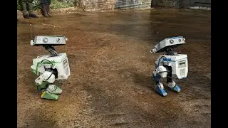 Star Wars Galaxy's Edge BD Droids: The First Time They Hit Batuu