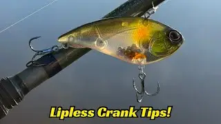 Few Anglers Know These Lipless Tips And They Will Make You A Much Better Angler!