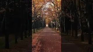 Sezen Aksu - Belki De Aşk Lazım Değildir 