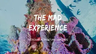 Discover Raja Ampat the MAD Way