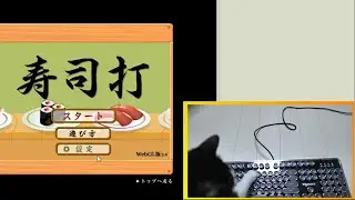 タイピングゲーム「寿司打」ウチの猫にやらせてみたらとんでもない結果に！？【猫動画 癒し かわいい】