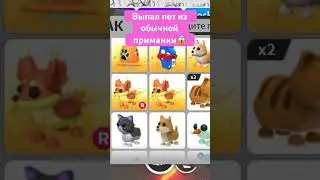 #adoptme #adoptmetrades #adoptmenewpets