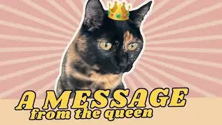 An Update from Our Queen: Sienna the Cat