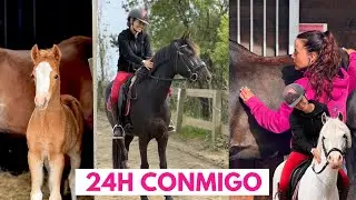 24 hours with me 🐴 | Vaccines 💉ponies 🦄 foal ponies 🐣 they're canceling all my plans 😢