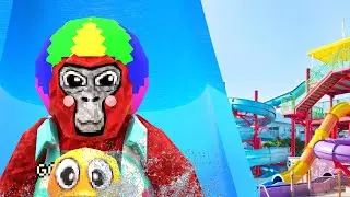 GORILLA TAGS WATERPARK UPDATE