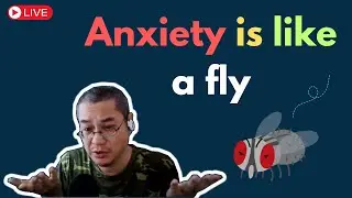 焦虑像苍蝇