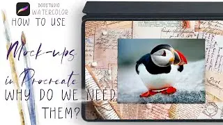 Mockup in Procreate - how to use and why do we need mock ups?