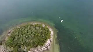 Wading Bird Nesting Island. Dunedin Causeway