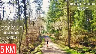 5KM Forest Trail Run | Virtual Run / Walk ASMR | Treadmill Workout Scenery | Alice Holt Surrey 24min