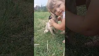 20 июня 2023 г.