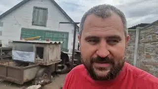 последние цыплята)