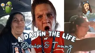 WAKE UP with Dammit Dani | #DeliciousDenise| #TammyHull