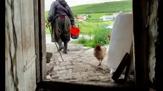 Ardahan - Damal #4