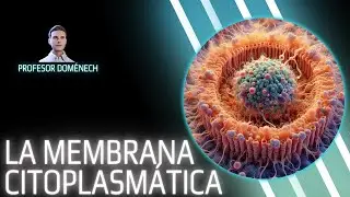 MEMBRANA CITOPLASMÁTICA bacteriana en 5 min