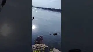 рыбалка на хариуса. Енисей