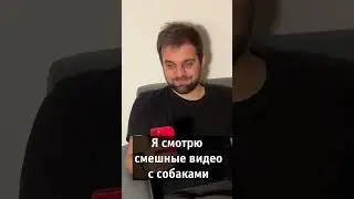 Смешные собаки в интернете