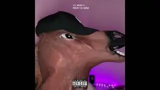 Lil Horse X - Pussy Is Gone