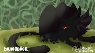 Грач и Ветерок[Коты Воители-Cats Warriors(Что же ты делаешь папа?){Заказ:КВ,Undertale и Крипипаста}]