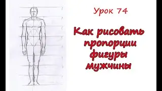 Пропорции фигуры мужчины. Урок 74