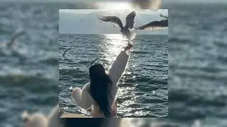 ZIVERT x NILETTO - FLY 2 (Hardphol Remix 2020)