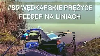 #85 Fishing Prężyce - feeder on the lines 🤔