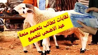 نقابات ترفع مطلب تعميم منحة عيد الأضحى لمواجهة الارتفاع الصاروخي لثمن الاغنام
