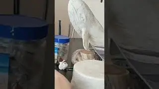 У нас появился клуб "Доживëм до понедельника"😍
