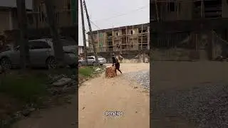 Best of Bait Bag Prank 🤣🤣🤣🤣🤣.. Wait for it 😂😂😂😂.. #foryou #viral #fyp #explore #shorts
