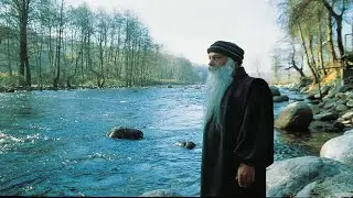 Я МОГУ ПОКАЗАТЬ ВАМ ЗОЛОТУЮ ЖИЛУ НО ВЫ ДОЛЖНЫ ИСКАТЬ ЗОЛОТО В СЕБЕ  #Просветление#Пробуждение