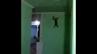 Cat Кот думает что он паук