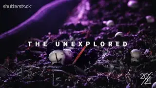 Trend To Watch: The Unexplored - 2021 Creative Trends | Shutterstock