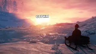 СТРИМ ПО РАСТУ / СОЛО СТРИМ  / RUST STREAM / СОЛО ВАЙП / РАСТ