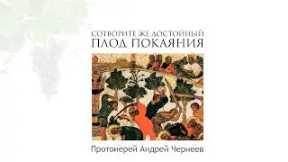 Сотворите же достойный плод покаяния | Протоиерей Андрей Чернеев