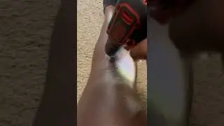 I Need Lotion 😭☠️🤣