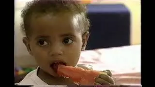 Day-care centers- Spanish Version