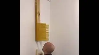 Как правильно познать Дзен