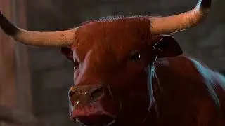 Strange Ox - Baldur's Gate 3