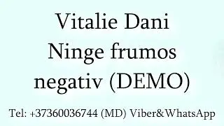 Vitalie Dani - Ninge frumos Negativ DEMO
