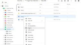 Adding one item into Multiple Folders - Drive